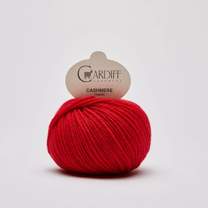 Gomitolo Cashmere Gerbera da 25gr VX 0564 